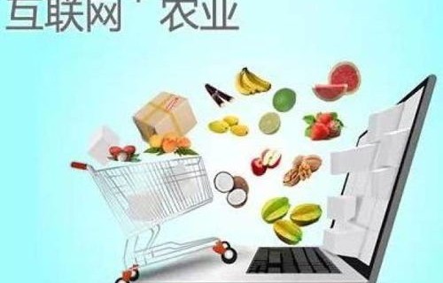 啥是农村电子商务专业的