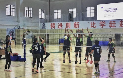 虹口区专业电子商务价钱