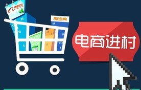 青农的电子商务专业号码
