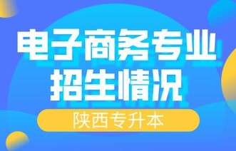 电子商务升本什么专业好