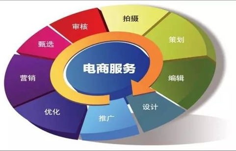 电子商务专业技术类现状