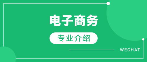 电子商务国考专业大类