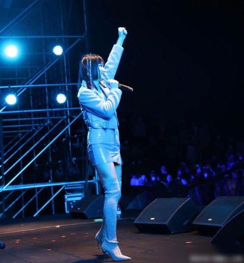 大张伟演唱会意外，工作人员摔下舞台事件纪实