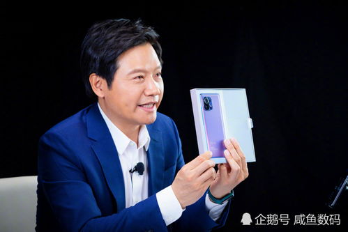 雷军删掉诋毁是一种仰望原文，背后真相与网络舆论的反思