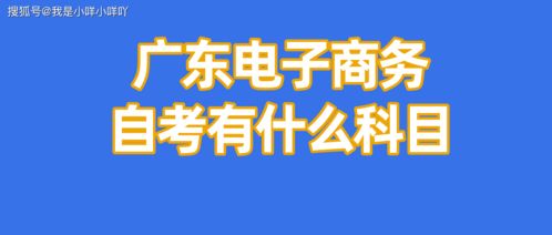 电子商务能报哪几种专业